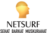 netsurf network business plan
